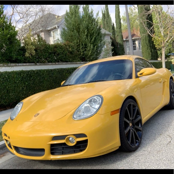 Meet your Posher, Chandler - Picture 1 of 1